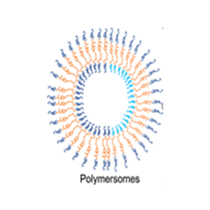 Engineering polymersomes for intracellular biopharmaceutics delivery