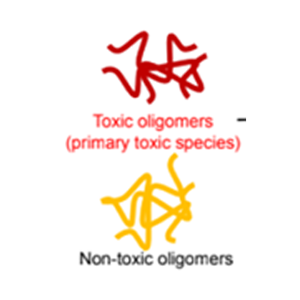 The role of wild-type tau in Alzheimer’s disease and related tauopathies