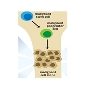 Immunotherapy for hematological malignancies
